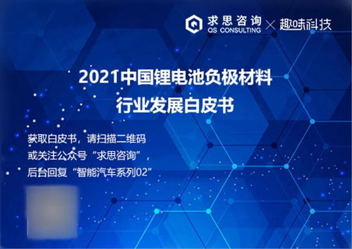 鋰電池負極材料白皮書 技術(shù)咨詢與市場前景